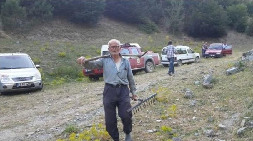 Ormanı Yangından Kurtardı