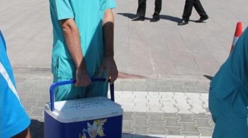 Organları Umut Oldu