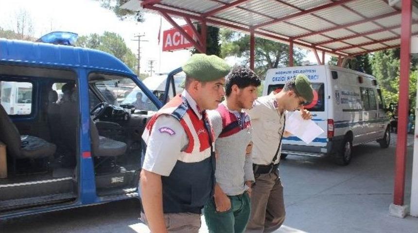 Atm Fareleri Yakalandı