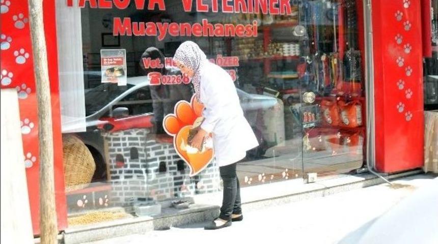 Yalova'da Sokak Hayvanlarının Mamalarını &Ccedil;alan Şahıslar Kamerada