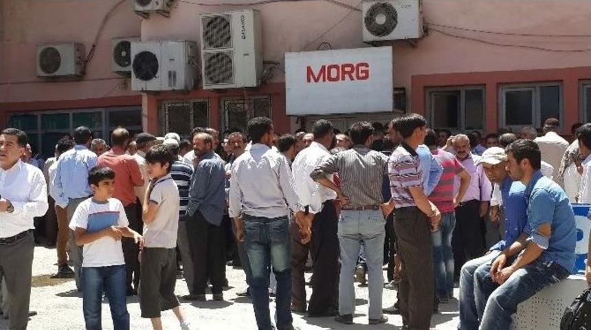 Muş'ta Ot Y&uuml;z&uuml;nden &Ccedil;ıkan Kavgada 2 Kardeş &Ouml;ld&uuml;r&uuml;ld&uuml;