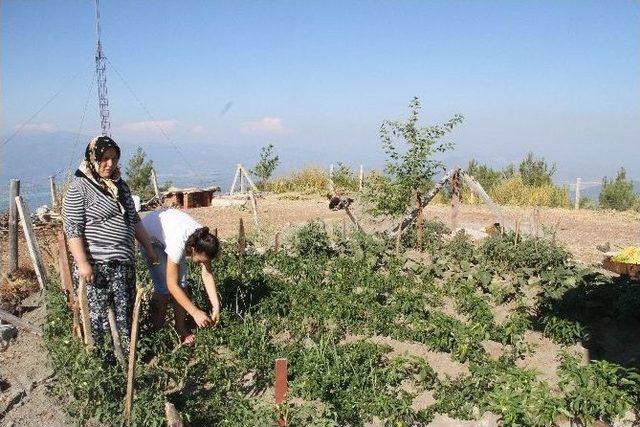 970 Rakımlı Yangın Kulesinde Ailecek Ramazan 1