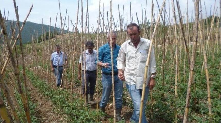 7 Dakika Yağan Dolu K&ouml;yl&uuml;y&uuml; Perişan Etti