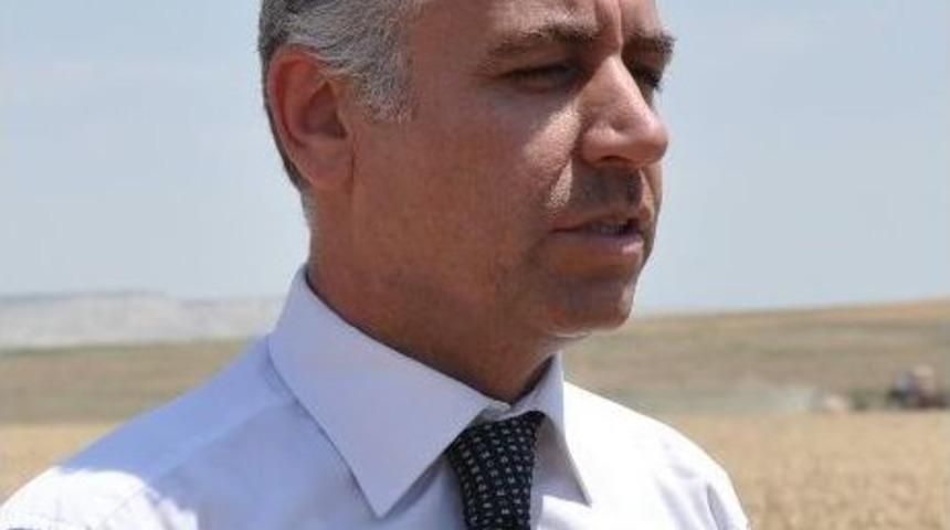 Yeni G&uuml;breleme Teknolojisi İle Buğdayda Verim De Protein Oranı Da Arttı