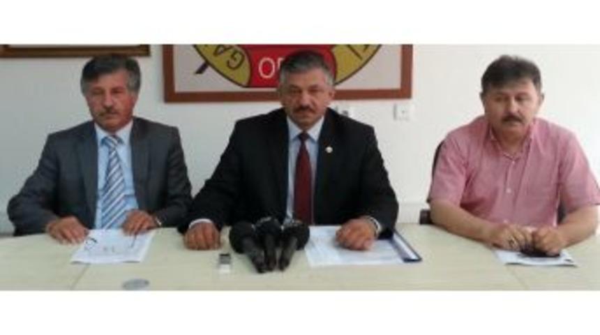 T&uuml;rkiye Fındık Rekoltesi 371 Bin Ton