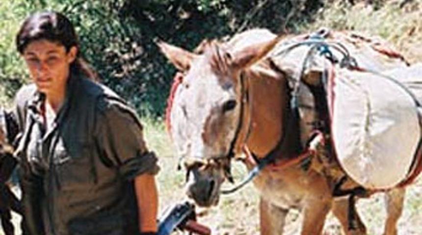 ABD a&ccedil;ıkladı: Ka&ccedil; bin PKK'lı var?