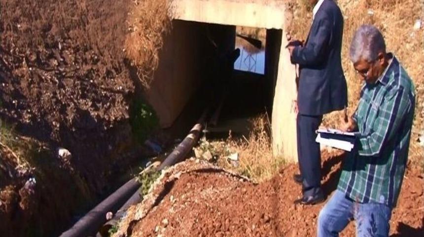 Zararlı Haşerelerle M&uuml;cadelede 'biyosidal &Uuml;r&uuml;n' Uyarısı