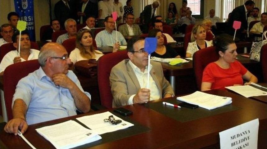 Bursa, Bonzai İ&ccedil;in Harekete Ge&ccedil;ti