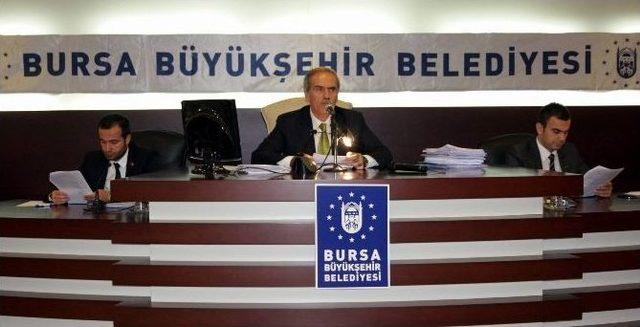 Bursa, Bonzai İçin Harekete Geçti