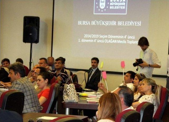 Bursa, Bonzai İçin Harekete Geçti