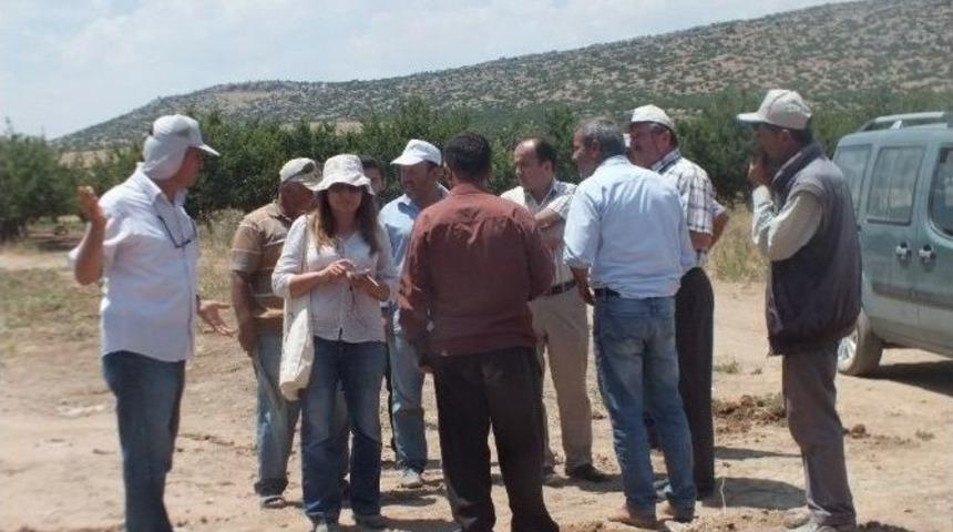 Ak Parti İl&ccedil;e Başkanı Yıldıran, Sulama Projesini İnceledi