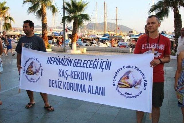 Bakanlık İzin Verdi, 5 Yıl Boyunca Eylem Yapacaklar 1