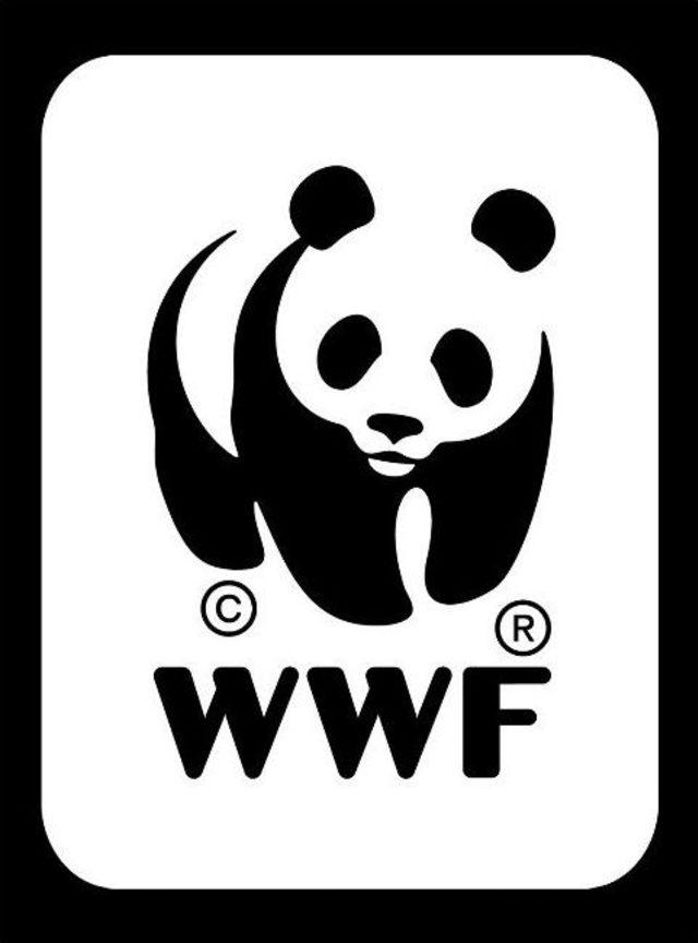 Bakanlık İzin Verdi, 5 Yıl Boyunca Eylem Yapacaklar 2