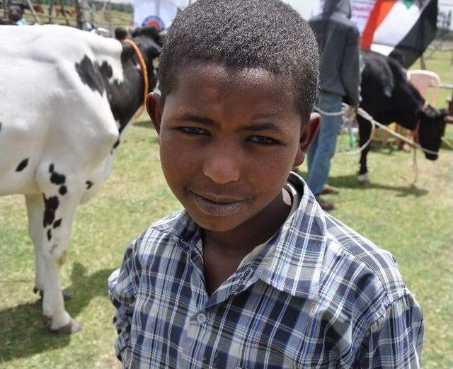 Etiyopya&rsquo;da40 Yetim Aileye Hayvancılık Alanında Destek 1