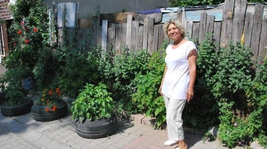 Bu Da 'lastik Bah&ccedil;e'