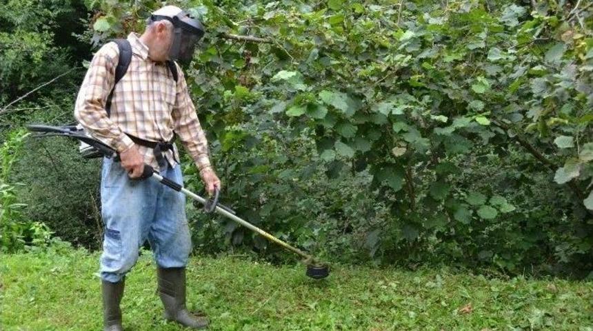 Fındık Bah&ccedil;elerinde Hazırlıklar Başladı