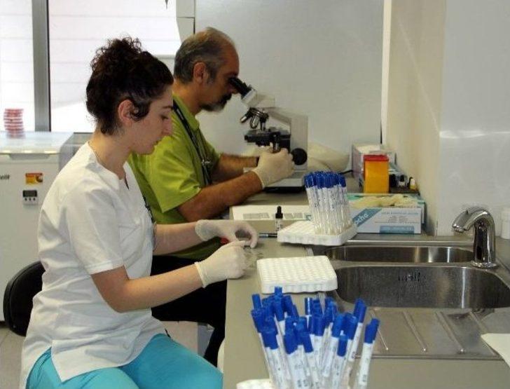 Sağlıkta Son Teknoloji Dünya İle Aynı Anda Bursa'da... G5