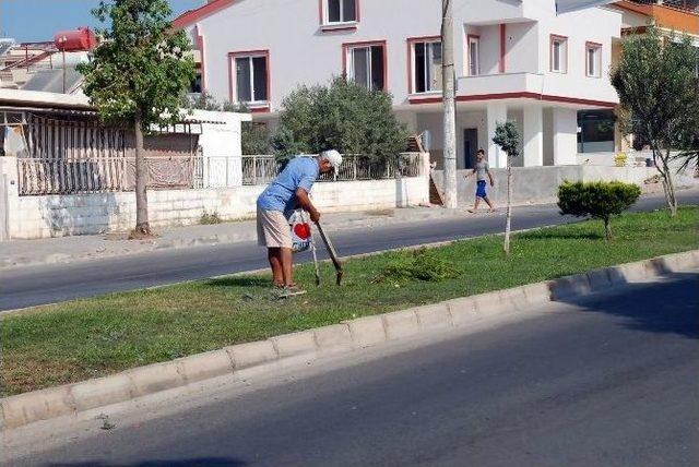 Didim’de Kaza Ucuz Atlatıldı