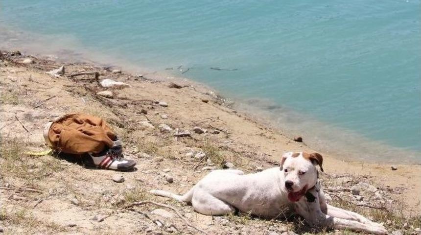 Pitbulunu Serinletmek İsterken &Ouml;ld&uuml;