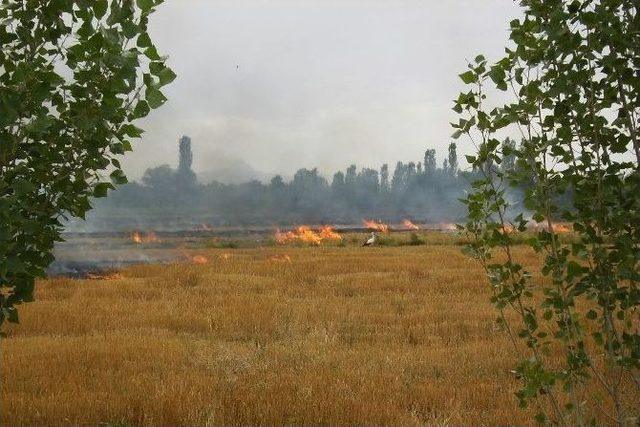 Iğdır’da Anız Yakmadaki Riske Dikkat Çekildi