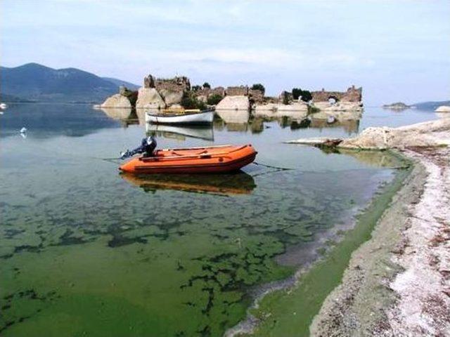 Bafa Gölünde Eylem Hazırlığı