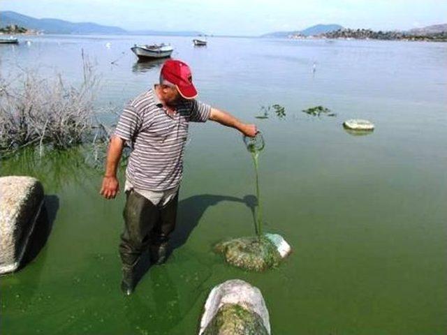 Bafa Gölünde Eylem Hazırlığı