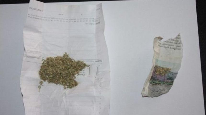 Bilecik Emniyetinden Bonzai Operasyonu