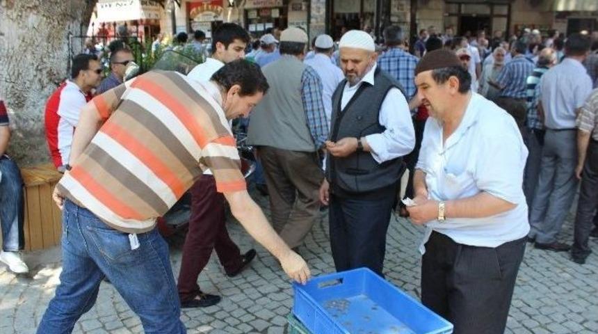 K&uuml;tahya'da Gazze İ&ccedil;in Yardım Toplandı
