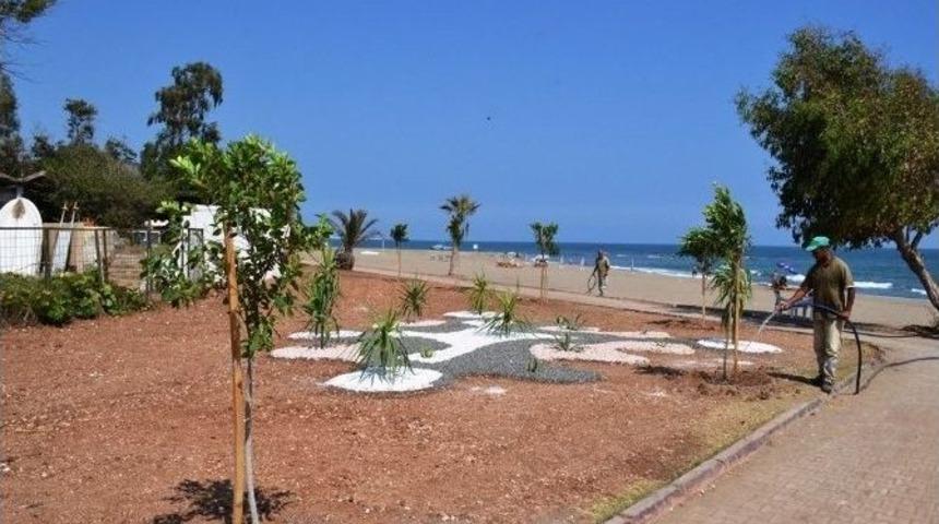 Mezitli&rsquo;de Yeşil Alan Ve Park Sayısı Artıyor