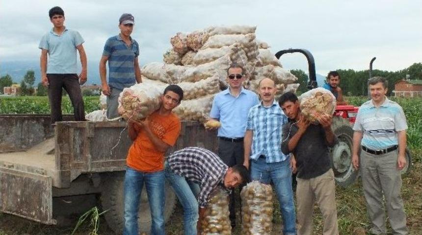 Patates, &Uuml;reticinin Y&uuml;z&uuml;n&uuml; G&uuml;ld&uuml;r&uuml;yor