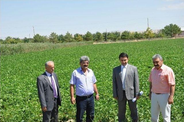 Cezaevi Değil Sanki Üretim Merkezi