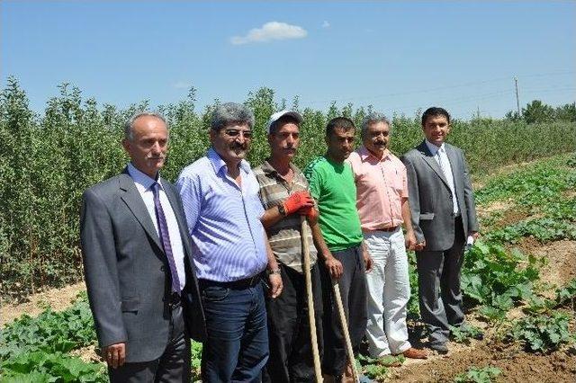 Cezaevi Değil Sanki Üretim Merkezi