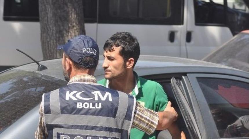 Bolu Polisinde Bonzai Operasyonu
