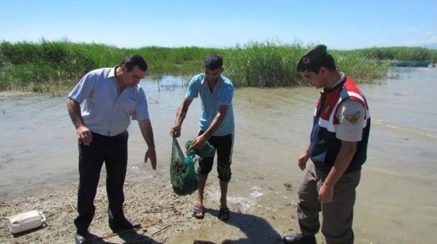H&uuml;y&uuml;k&rsquo;te Ka&ccedil;ak Kurbağa Operasyonu