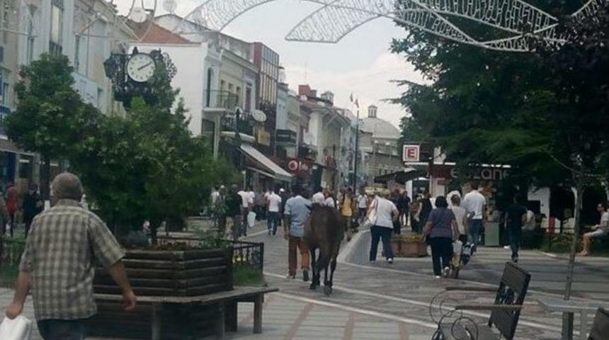 Sara&ccedil;lar'ın Davetsiz Misafiri