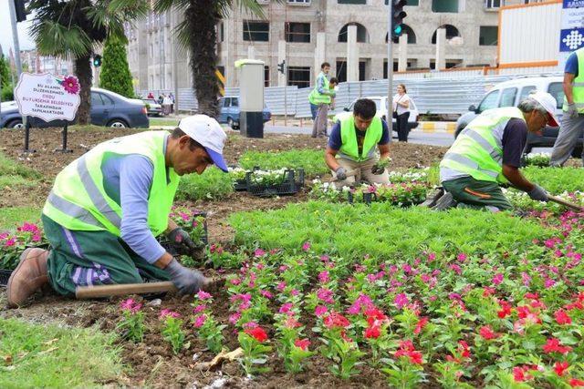 Ordu B&uuml;y&uuml;kşehir Belediyesi nin &Ccedil;alışmaları 2