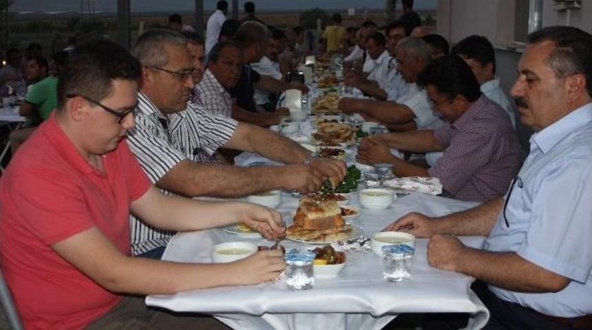 Alaşehir'de &Uuml;z&uuml;m Rekoltesi Y&uuml;ksek Bekleniyor