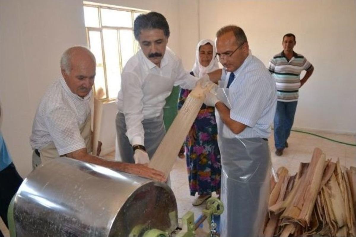 "hafize Teyze" İlham Oldu, "muz Lifi At&ouml;lyesi" Kuruldu