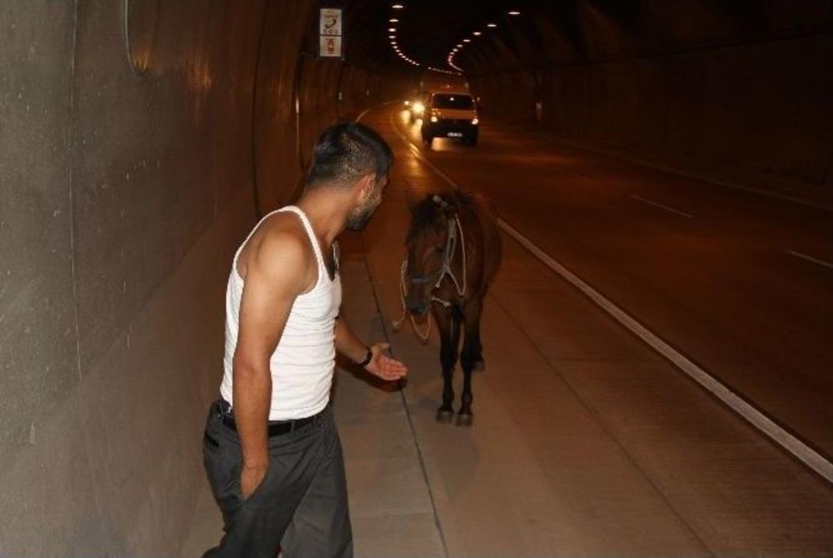 (&ouml;zel Haber) "asfalt Kovboyu&rdquo; T&uuml;nelde