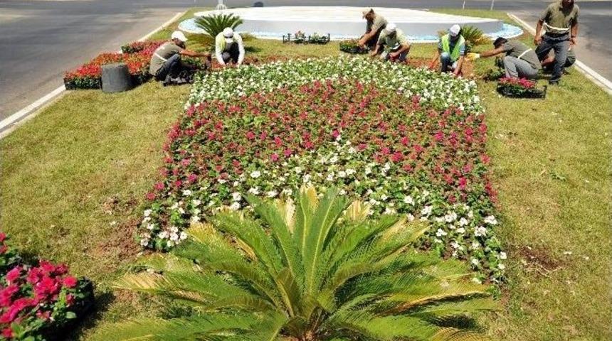 Aydın Rengarenk G&ouml;r&uuml;nt&uuml;ye Kavuştu