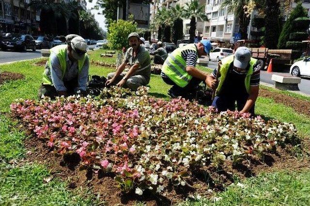 Aydın Rengarenk Görüntüye Kavuştu