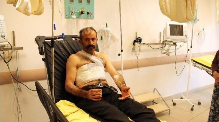 Hayvanlarını Otlatırken Ayının Saldırısına Uğradı