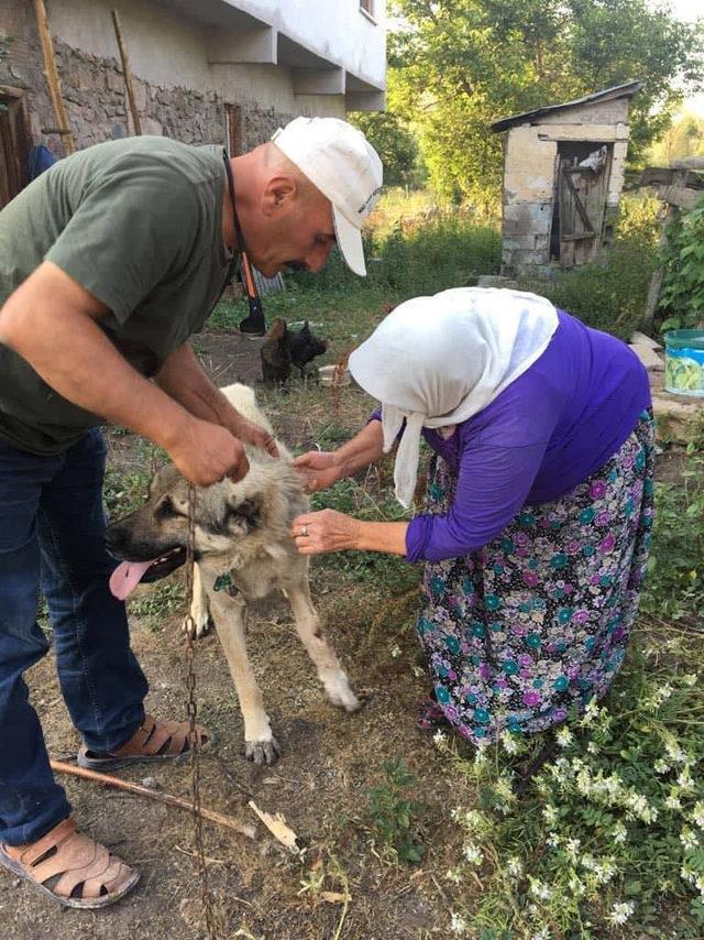 Gözyaşlarıyla tedaviye gönderdiği köpeğini mutlulukla karşıladı