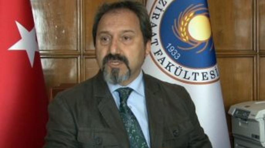 (&ouml;zel Haber) &Ccedil;ift&ccedil;iler M&uuml;hendis Oluyor