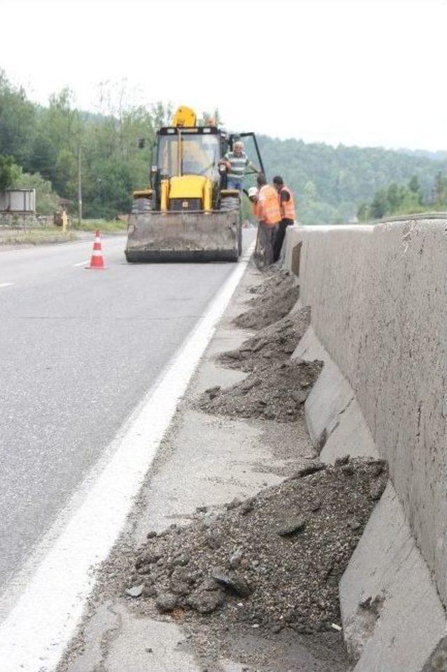 Bolu Dağında Yaz Temizliği