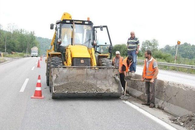 Bolu Dağında Yaz Temizliği