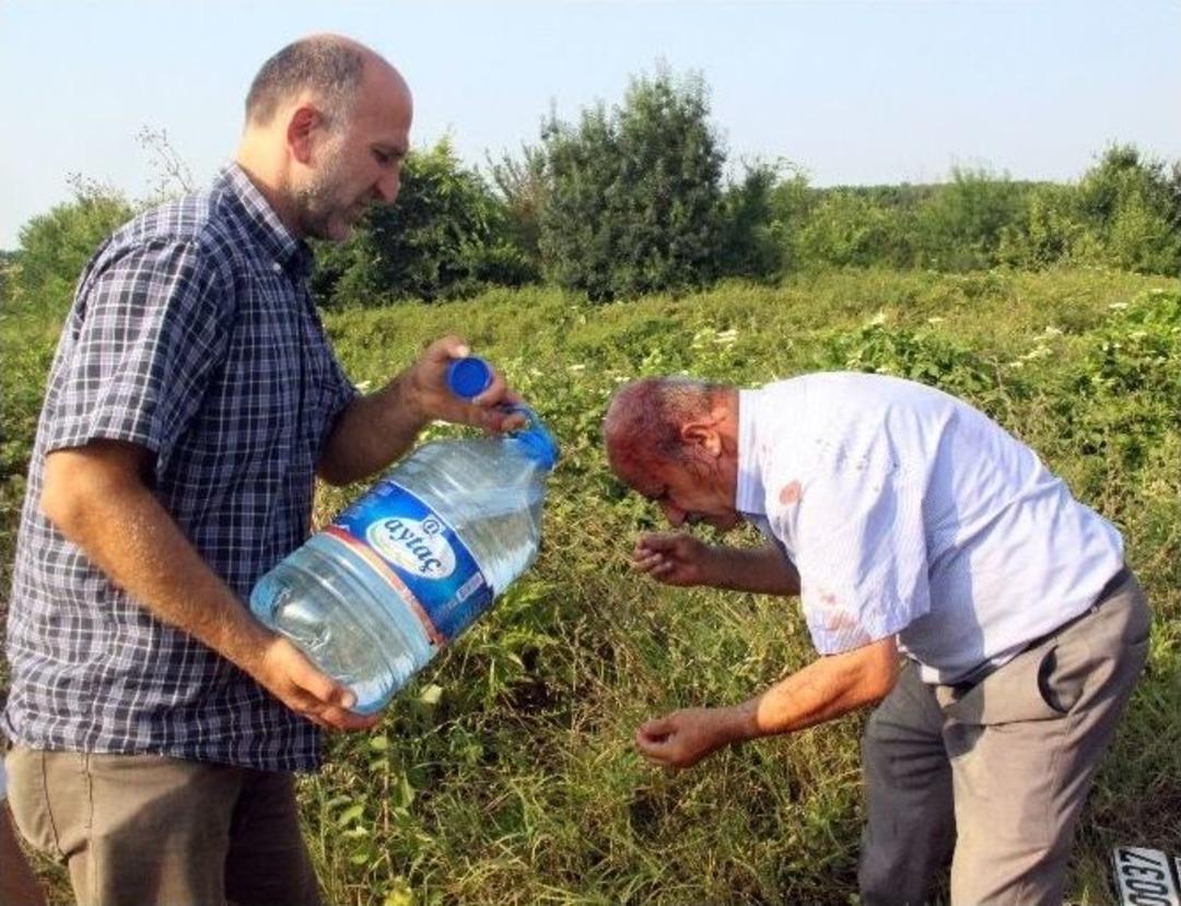 Otomobil Kanala U&ccedil;tu