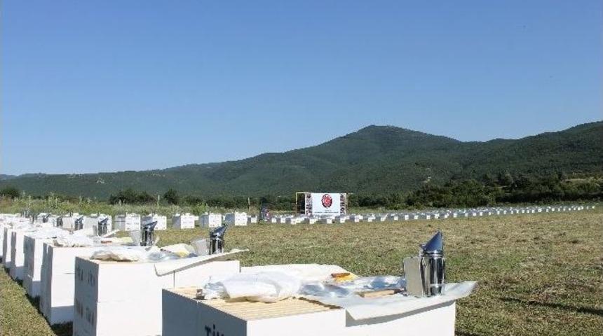 Doğu Makedonya Valandova B&ouml;lgesindearıcılara Destek