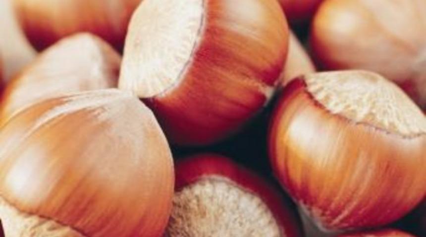 Fındık &lsquo;alzheimer&rsquo;i &Ouml;nl&uuml;yor