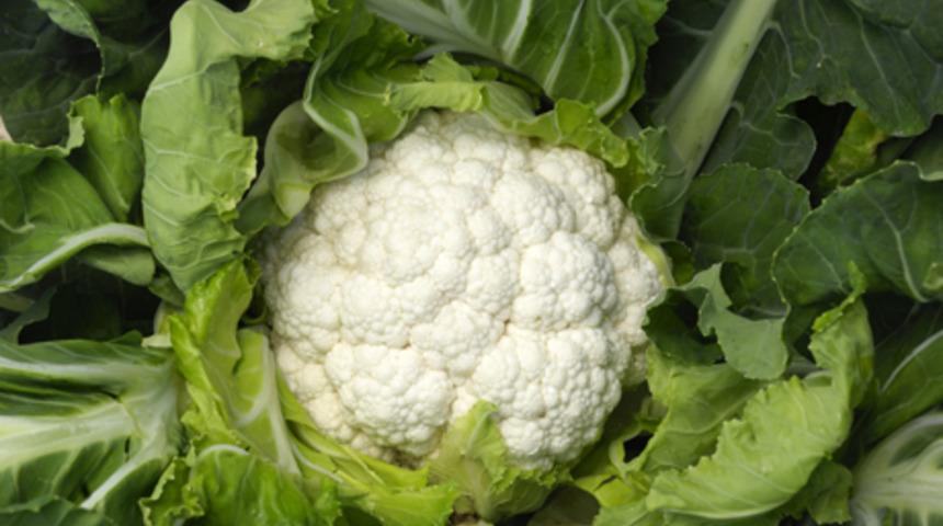 Renklerine g&ouml;re kış sebzelerinin faydaları